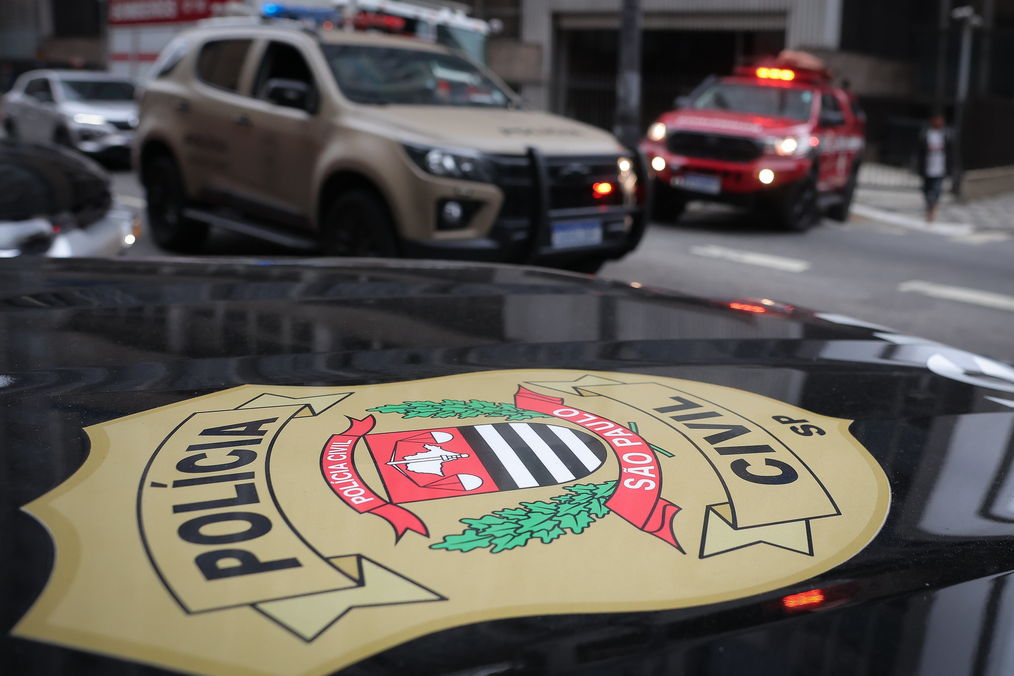 OPERAÇÃO SENTINELA DE AÇO: POLÍCIA CIVIL DE SÃO PAULO PRENDE AGRESSORES SEXUAIS DE VULNERÁVEIS