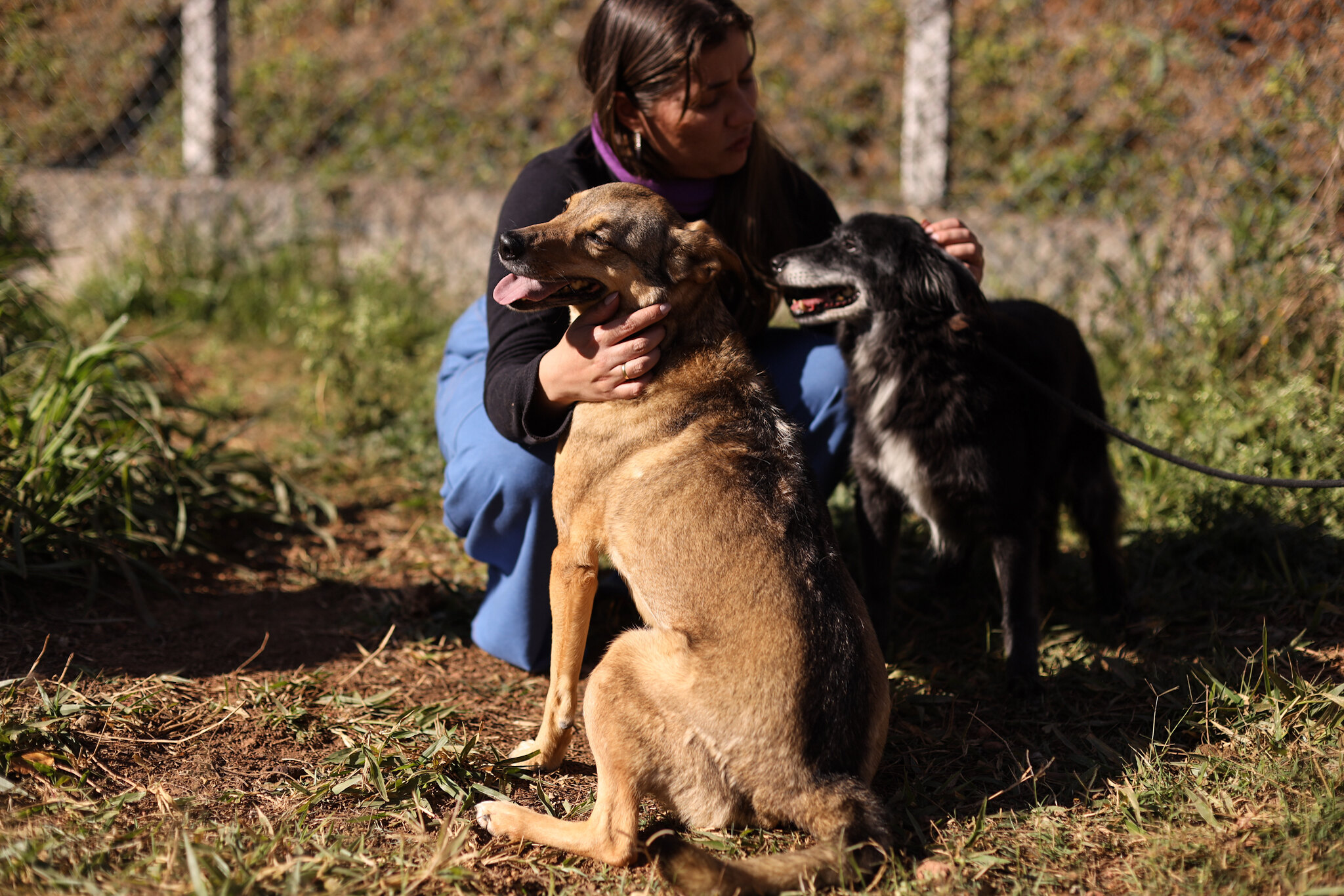 PROGRAMA BORA SER FELIZ ESTIMULA ADOÇÃO RESPONSÁVEL E CUIDADO ANIMAL EM GUARAREMA