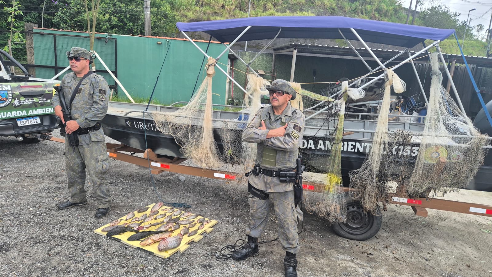GCM DE SÃO BERNARDO APREENDE REDES E DEVOLVE 32 PEIXES À BILLINGS DURANTE DEFESO
