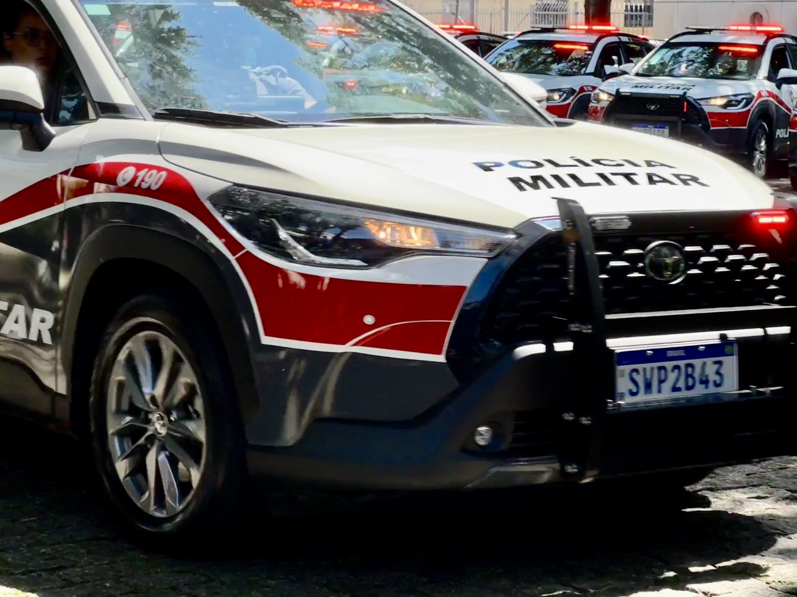 POLÍCIA MILITAR APREENDE MAIS DE 400 TIJOLOS DE MACONHA EM SÍTIO NO INTERIOR