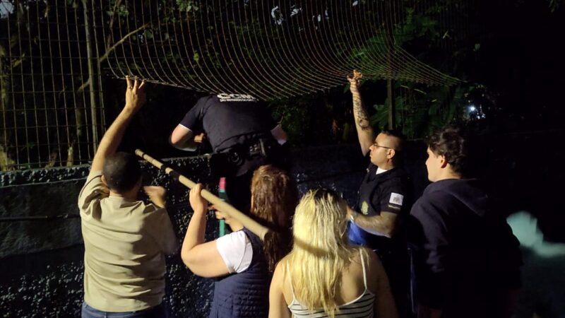 GCM DE SÃO BERNARDO RESGATA FILHOTE ABANDONADO EM TERRENO BALDIO NO ASSUNÇÃO