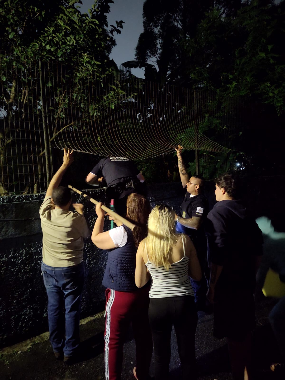 GCM DE SÃO BERNARDO RESGATA FILHOTE ABANDONADO EM TERRENO BALDIO NO ASSUNÇÃO