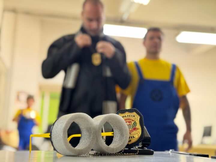 POLICIAIS FANTASIADOS DE “MINIONS” PRENDEM QUATRO SUSPEITOS DURANTE BLOCOS DE CARNAVAL EM SP