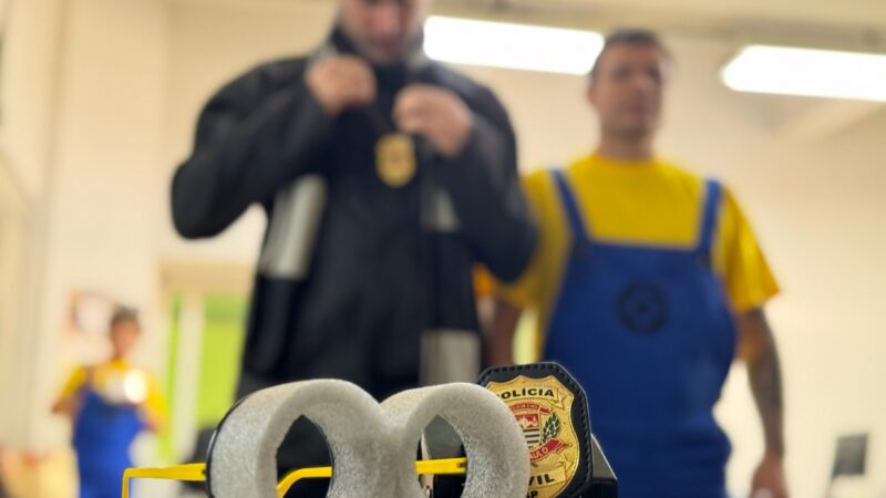 POLICIAIS FANTASIADOS DE “MINIONS” PRENDEM QUATRO SUSPEITOS DURANTE BLOCOS DE CARNAVAL EM SP