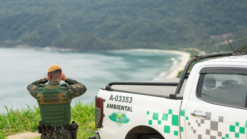 PM AMBIENTAL RESGATA 137 ANIMAIS SILVESTRES EM OPERAÇÃO CONTRA TRÁFICO INTERESTADUAL