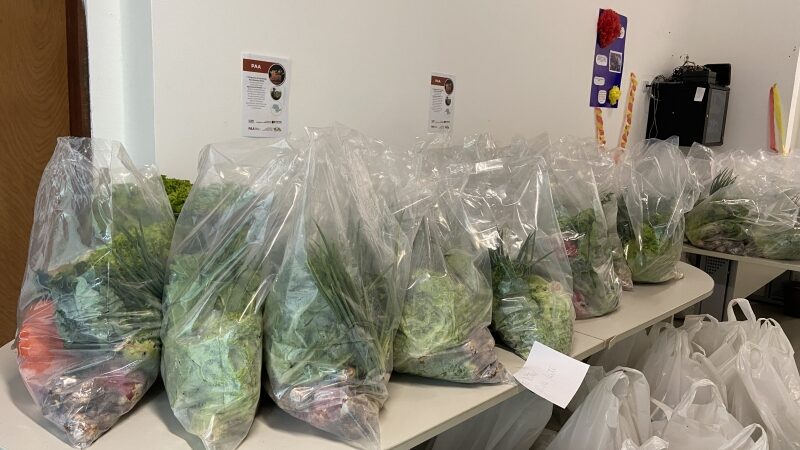 ILHABELA REALIZA PRIMEIRA ENTREGA DE CESTAS DO PROGRAMA DE AQUISIÇÃO DE ALIMENTOS EM 2026