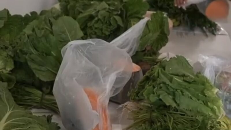 PROJETO CESTA VERDE BENEFICIA FAMÍLIAS E FORTALECE A AGRICULTURA FAMILIAR EM ILHABELA