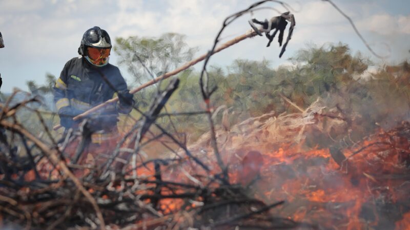POLÍCIA AMBIENTAL INICIA OPERAÇÃO HURACÁN PARA PREVENIR QUEIMADAS EM SP