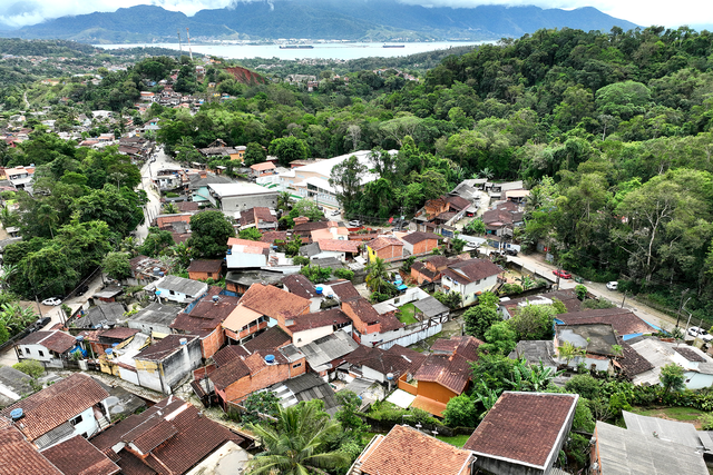 ILHABELA PUBLICA LEI QUE DEFINE REGRAS PARA PODA DE ÁRVORES EM ÁREAS URBANAS