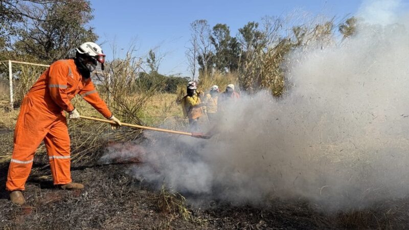 POLÍCIA AMBIENTAL INTENSIFICA AÇÕES DA OPERAÇÃO SP SEM FOGO DURANTE PERÍODO DE ESTIAGEM