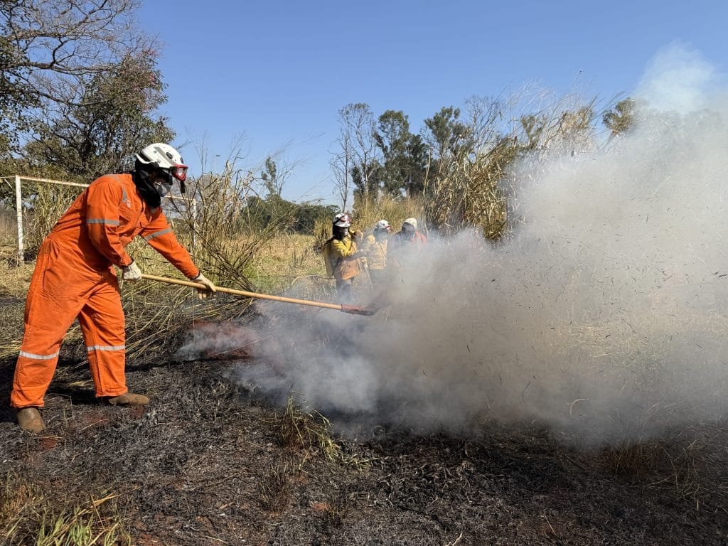 POLÍCIA AMBIENTAL INTENSIFICA AÇÕES DA OPERAÇÃO SP SEM FOGO DURANTE PERÍODO DE ESTIAGEM