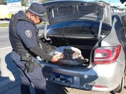 GCM DE GUARULHOS REFORÇA AÇÕES DE COMBATE AO FURTO E À RECEPTAÇÃO DE CABOS